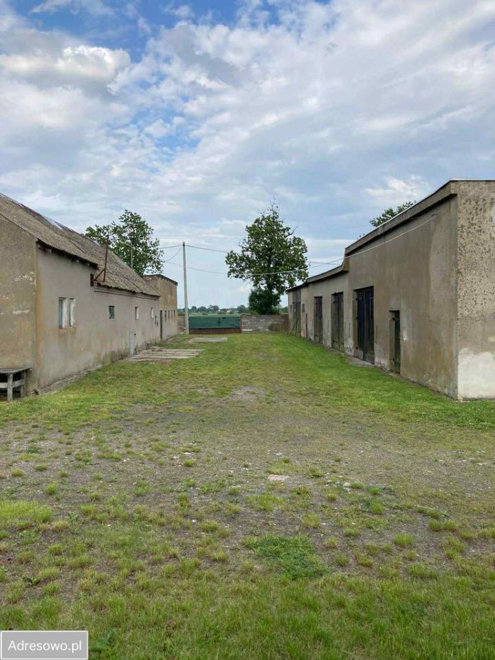 Hala/magazyn Gozdawa. Zdjęcie 12