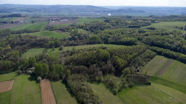 Działka rolna Laskówka. Zdjęcie 12