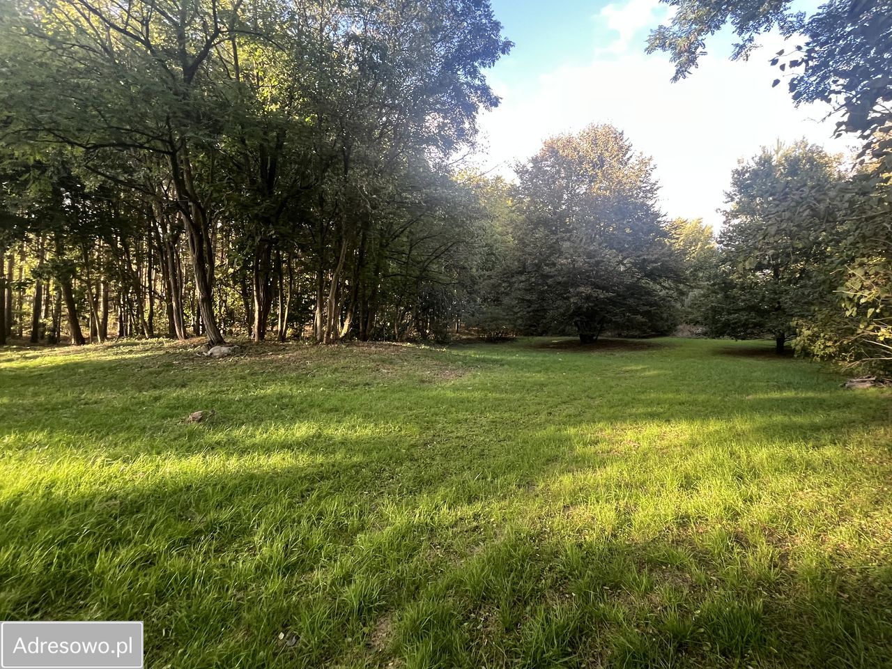 Działka budowlana Biedrzychowice Dolne. Zdjęcie 3