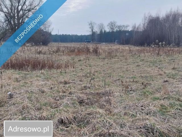 Działka rolna Marysin. Zdjęcie 1