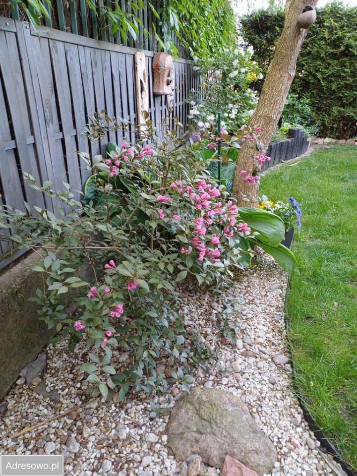 Mieszkanie 3-pokojowe Józefosław, ul. XXI Wieku. Zdjęcie 7