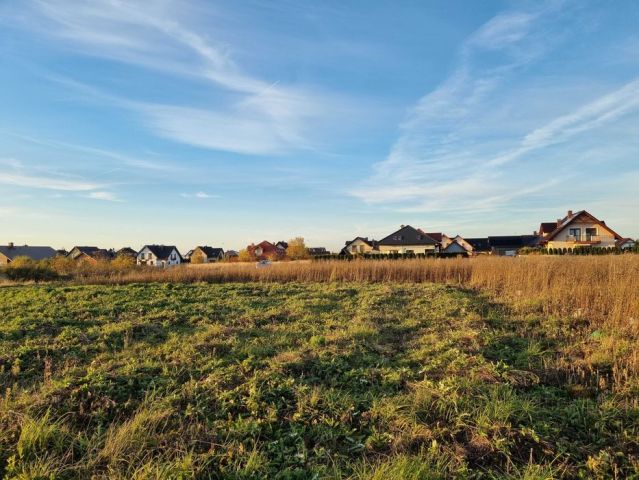 Działka budowlana Jędrzychów, ul. Łabędzia. Zdjęcie 1