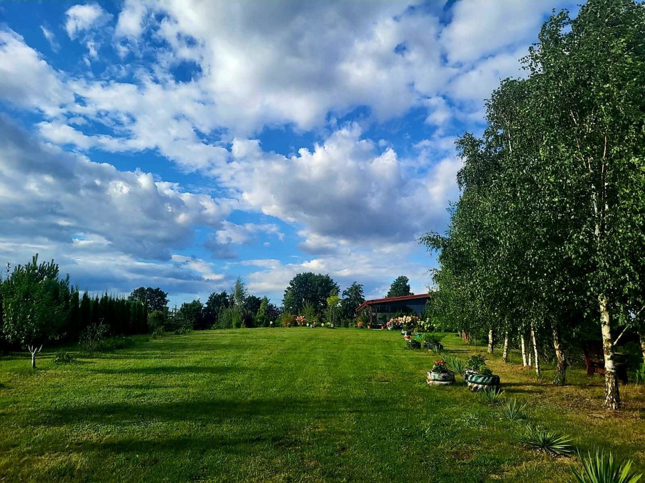 Działka rolno-budowlana Jarczechowo. Zdjęcie 5