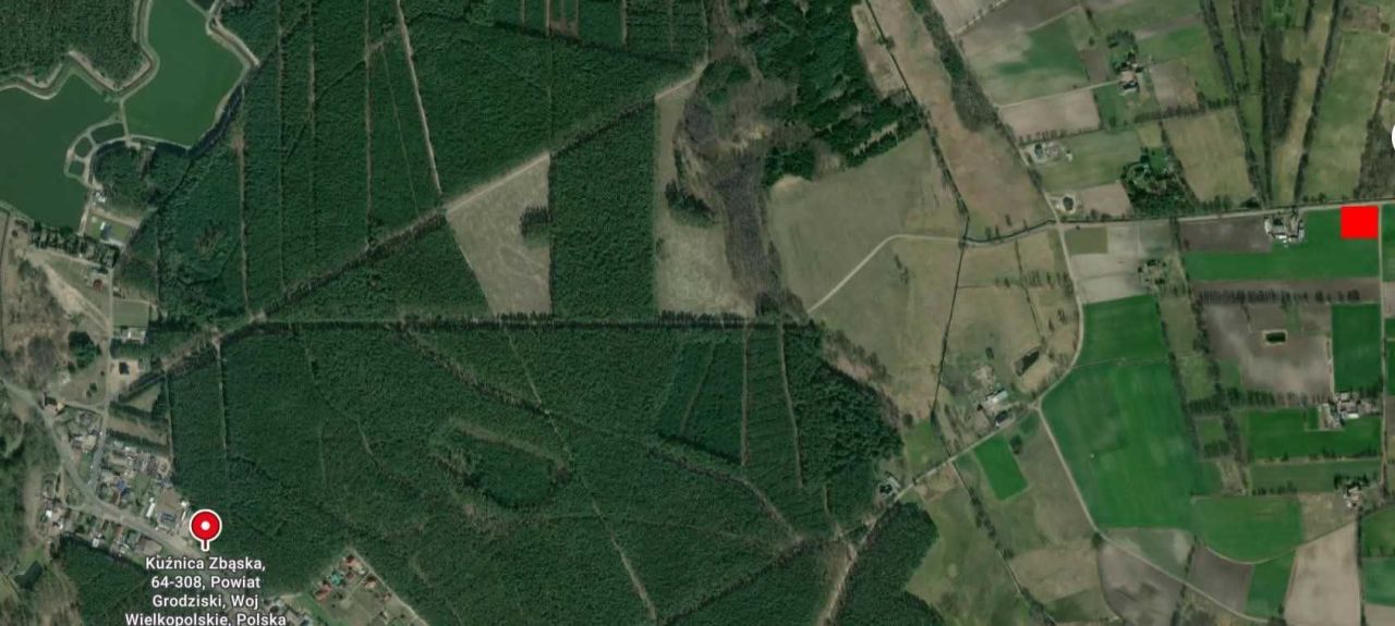 Działka budowlana Kuźnica Zbąska. Zdjęcie 4