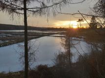 Działka rolna Wielobycz. Zdjęcie 3