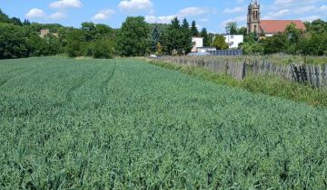 Działka rolno-budowlana Gorzów Wielkopolski Wieprzyce, ul. Kostrzyńska