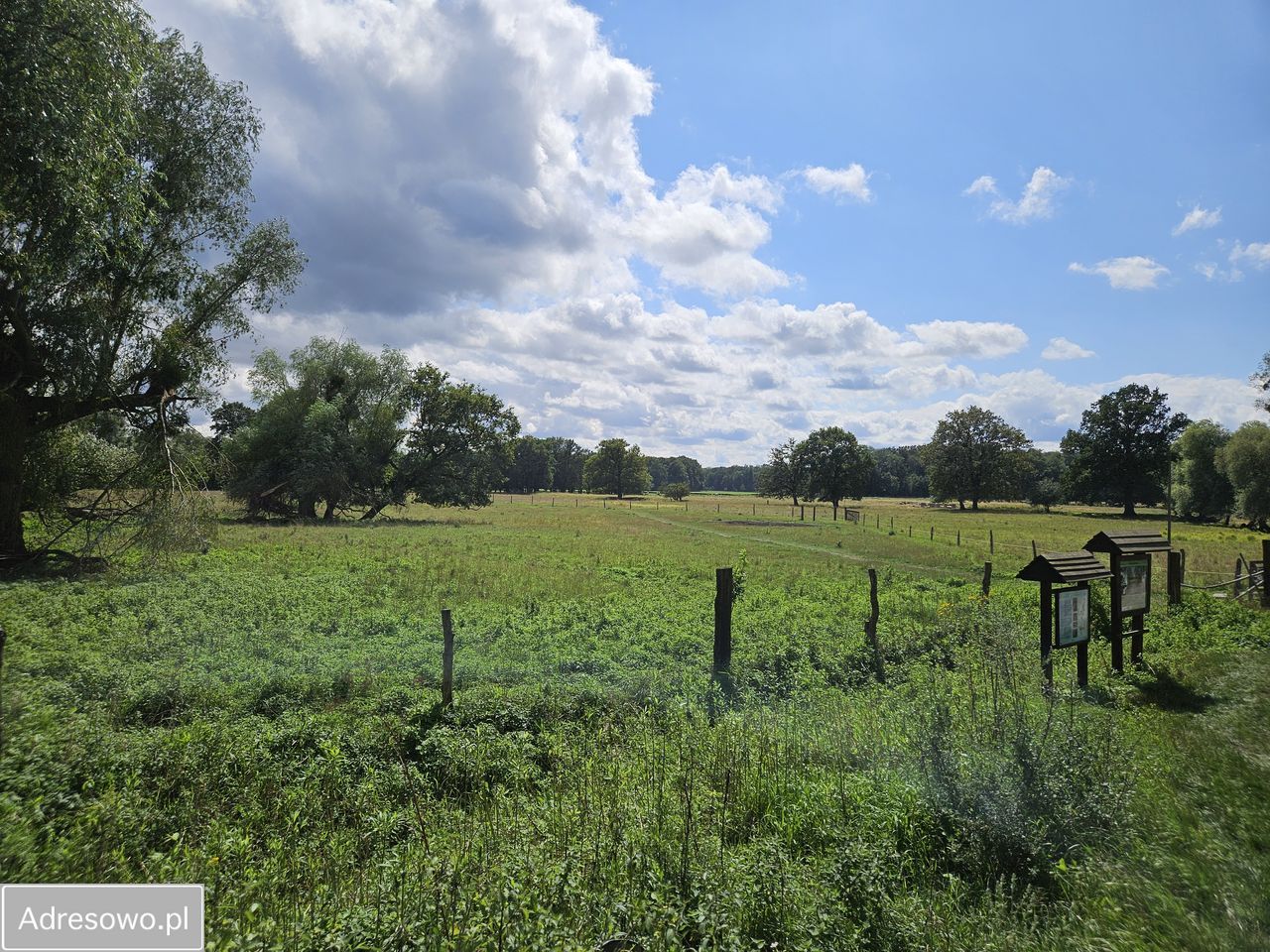 Działka budowlana Skałka. Zdjęcie 10