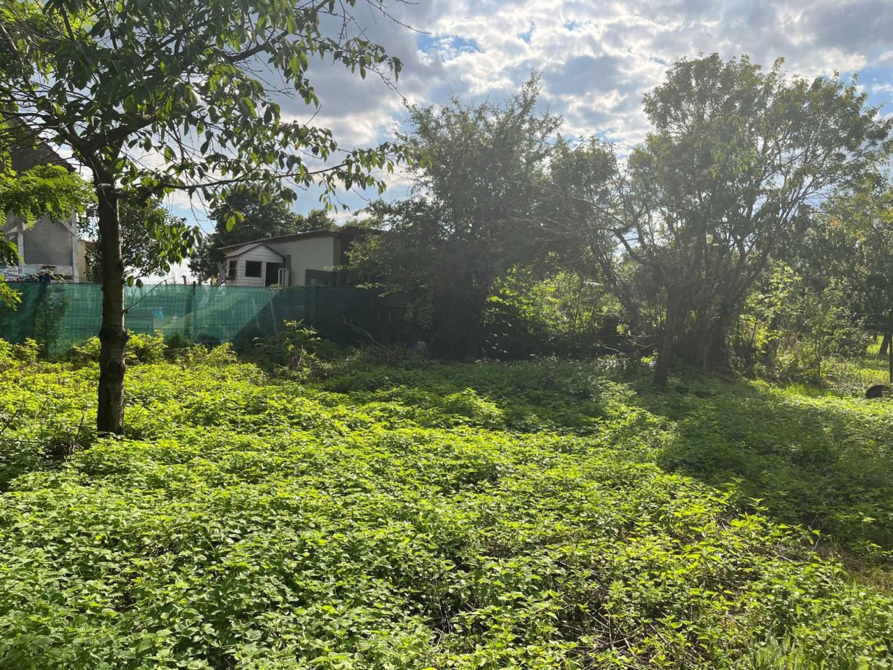 Działka budowlana Dębicz. Zdjęcie 3