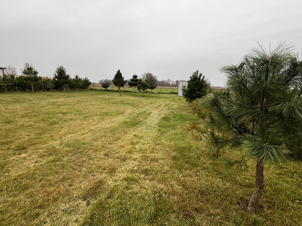 Działka inwestycyjna Zastań. Zdjęcie 8