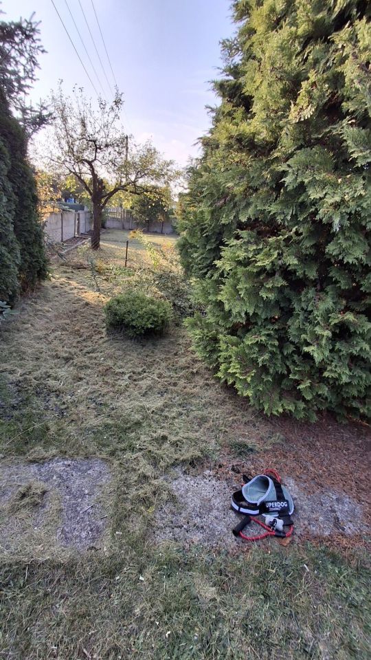 Działka rod Radomsko, ul. Brzeźnicka. Zdjęcie 8