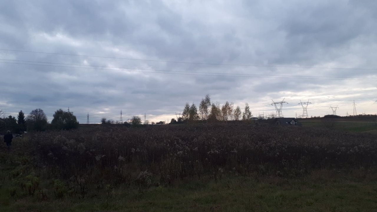 Działka rolno-budowlana Pliszczyn. Zdjęcie 3