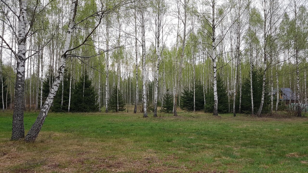 Działka budowlana Mościska. Zdjęcie 4