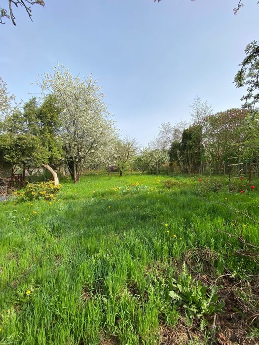 Działka rod Warszawa Praga-Południe. Zdjęcie 3