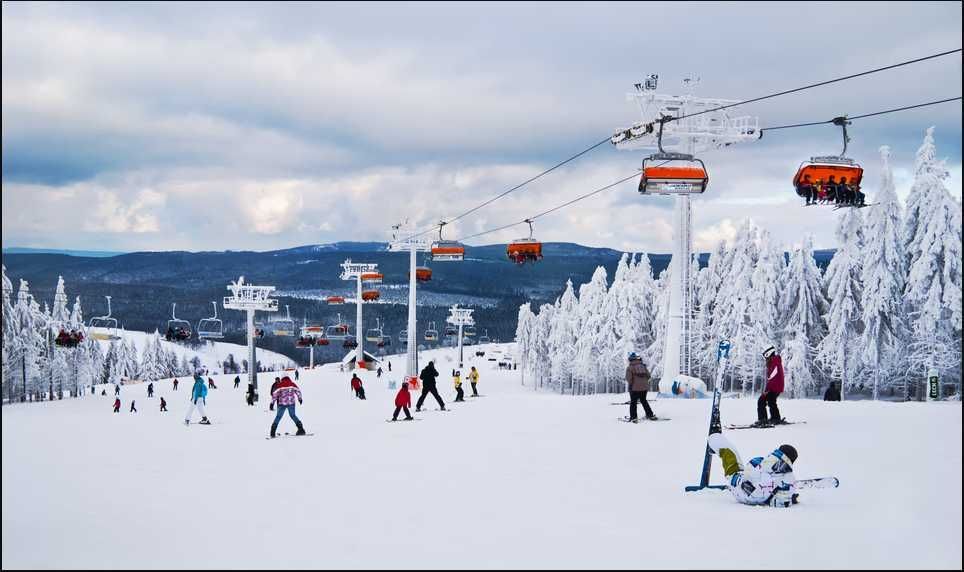 Działka budowlana Kudowa-Zdrój Słone. Zdjęcie 2