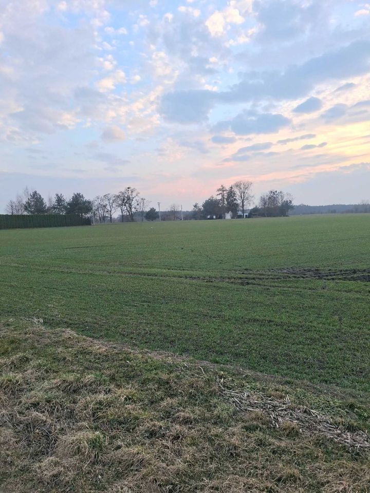 Działka budowlana Prusy. Zdjęcie 2