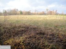 Działka rolna Gołkowice. Zdjęcie 2