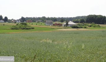 Działka budowlana Brzeziny, ul. Ludowa