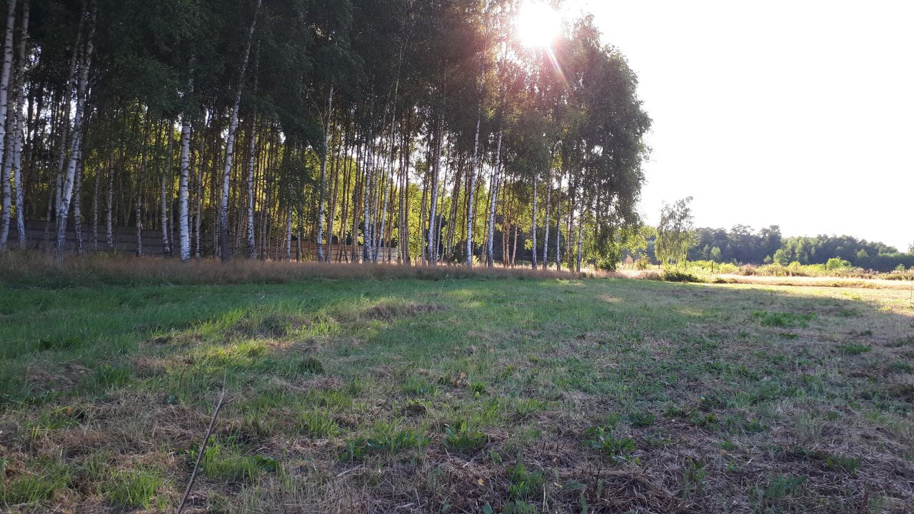 Działka budowlana Miąse, ul. Napoleońska. Zdjęcie 8