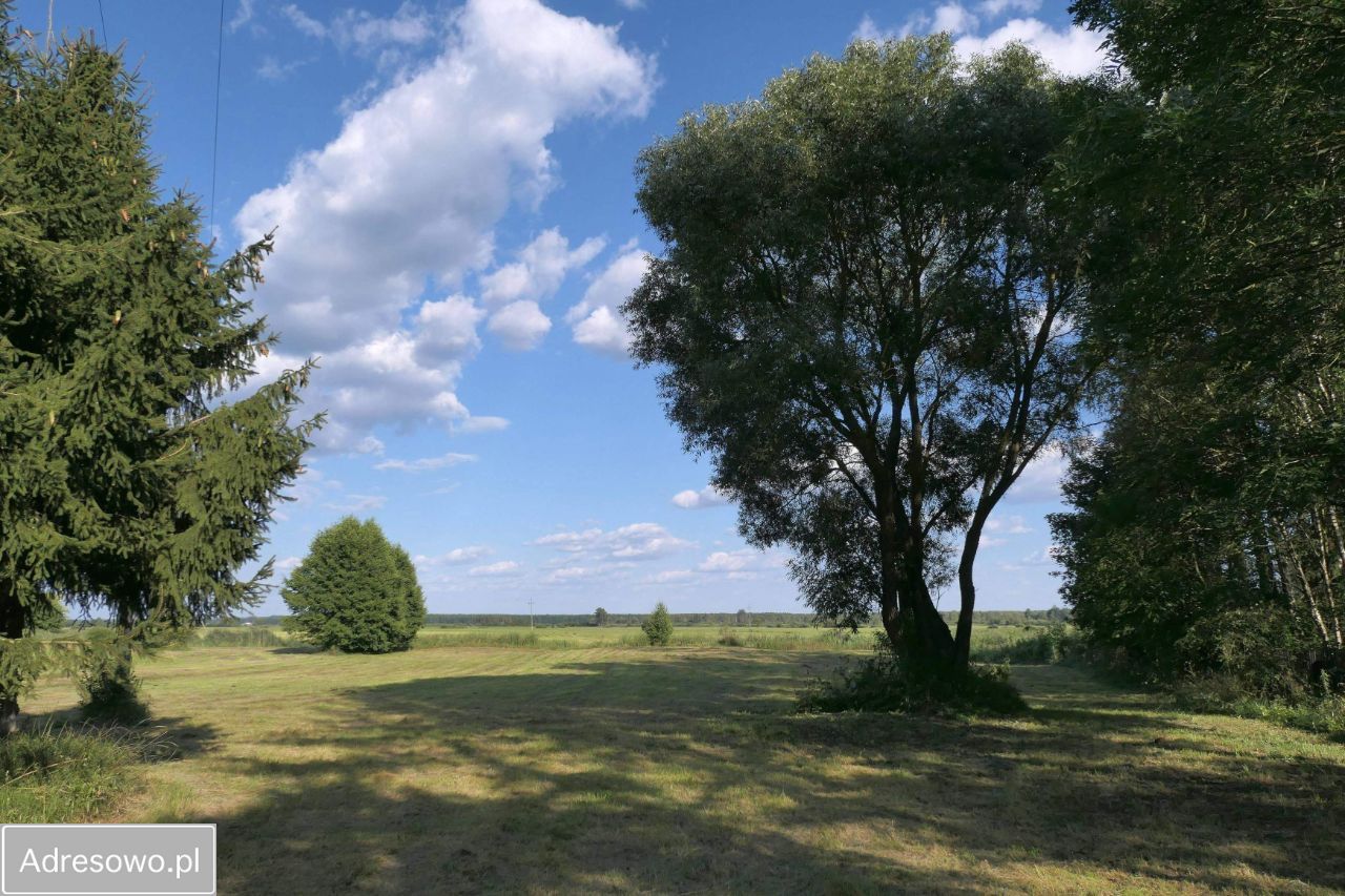 Działka rekreacyjna Sosnowo. Zdjęcie 6