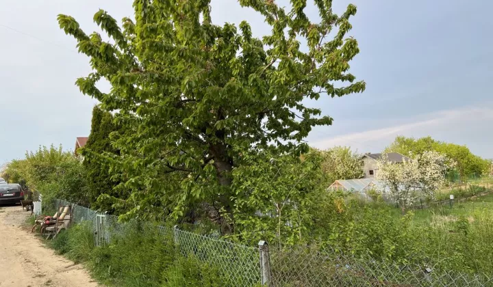 Działka rod Szczecin Bukowo, ul. Górska