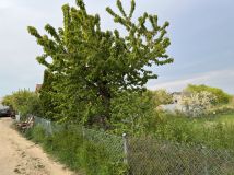 Działka rod Szczecin Bukowo, ul. Górska