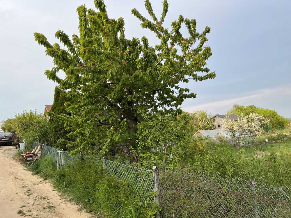 Działka rod Szczecin Bukowo, ul. Górska