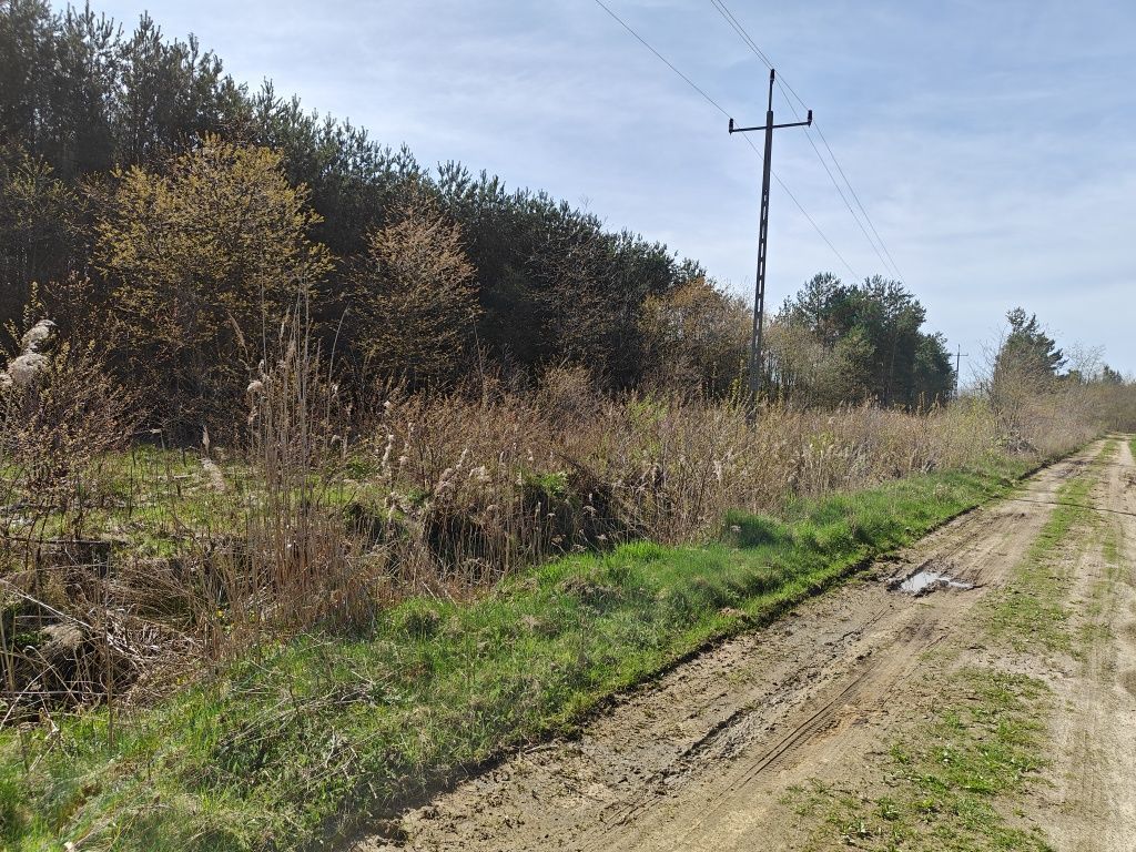 Działka rolno-budowlana Pogorzelec. Zdjęcie 2