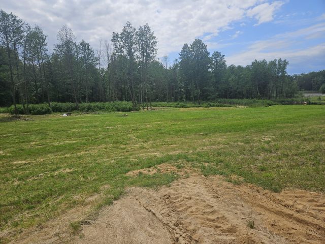 Działka rolno-budowlana Żałe. Zdjęcie 1