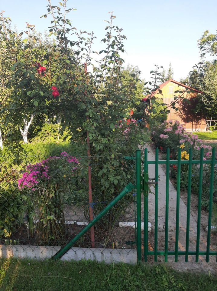 Działka rod Lublin. Zdjęcie 5