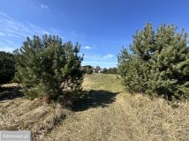 Działka budowlana Czmoniec. Zdjęcie 4