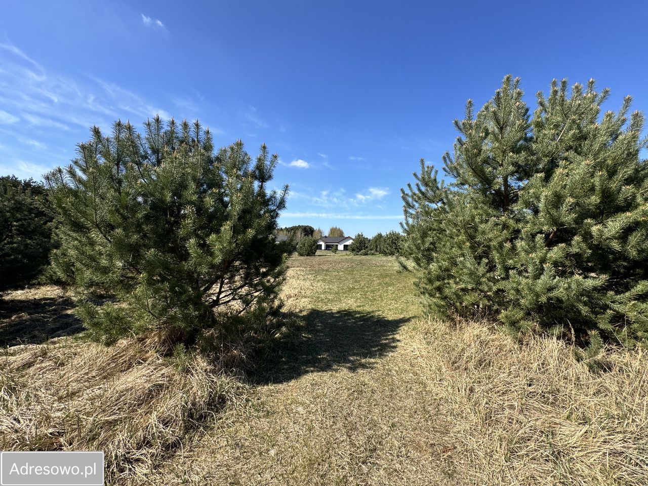 Działka budowlana Czmoniec. Zdjęcie 5