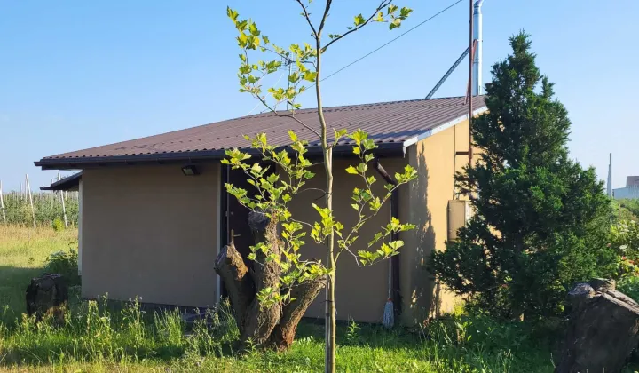 Działka budowlana Rosocha