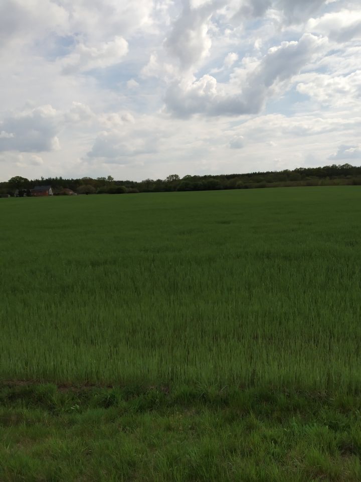 Działka rolno-budowlana Kromnów. Zdjęcie 9