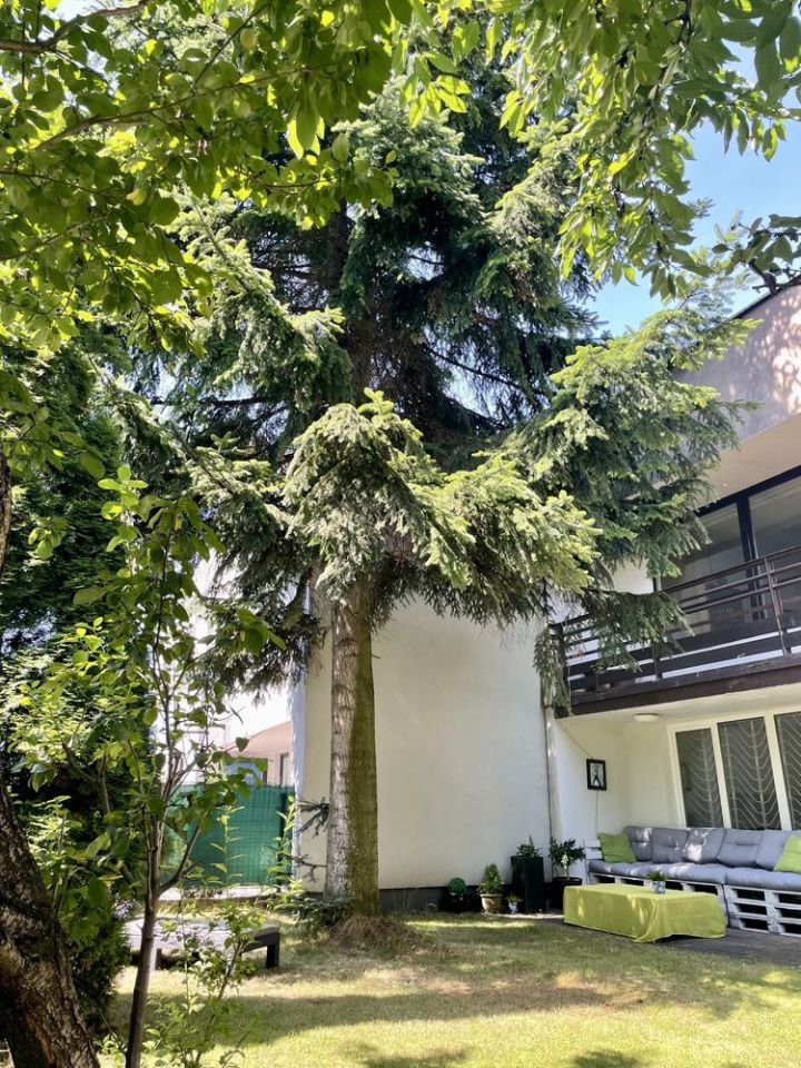 dom szeregowy, 5 pokoi Katowice Brynów, ul. Modrzewiowa