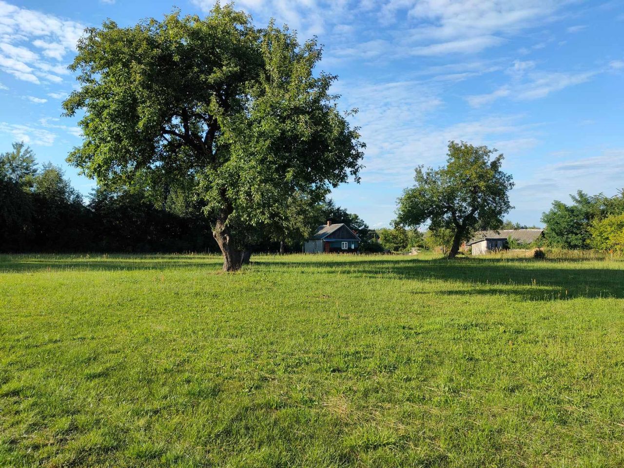 Działka budowlana Trzciniec. Zdjęcie 5