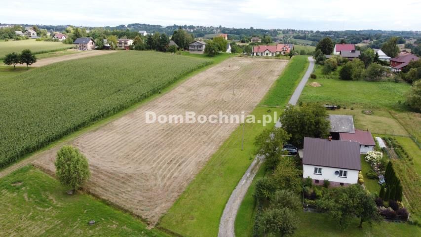 Działka rolno-budowlana Bieńkowice. Zdjęcie 9