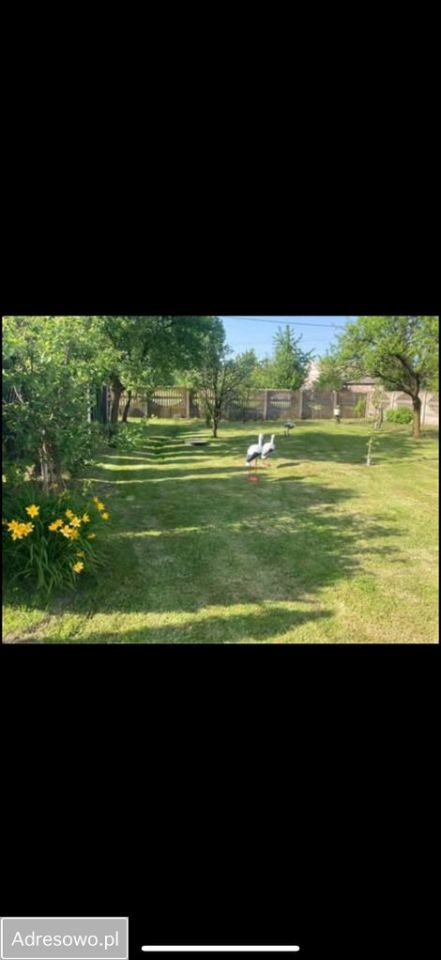 Działka budowlana Gutów Duży. Zdjęcie 5