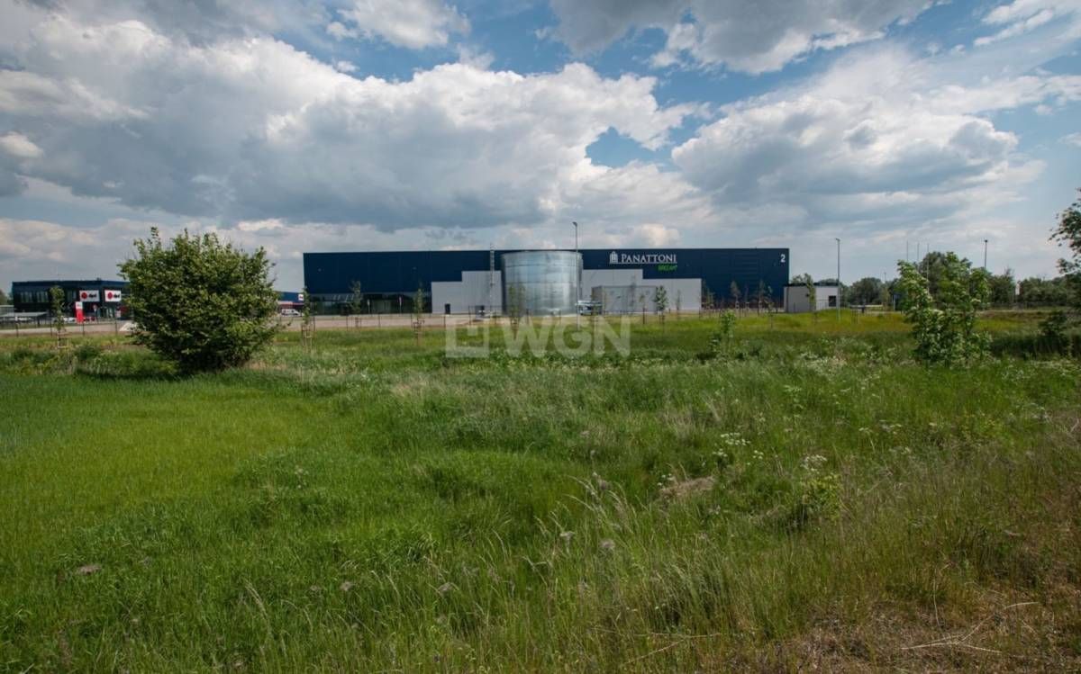 Działka inwestycyjna Elbląg Zawodzie, ul. Nizinna. Zdjęcie 13