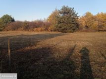 Działka budowlana Tarczyn, ul. Wąska. Zdjęcie 2