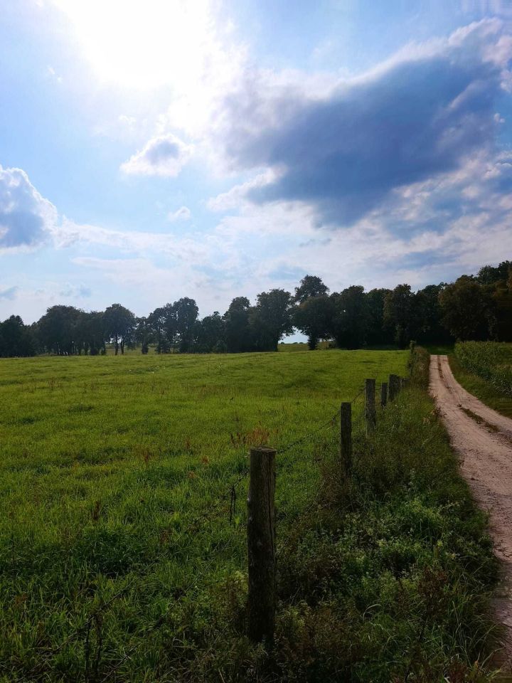 Działka rolno-budowlana Karwie Gwiazdowo. Zdjęcie 5