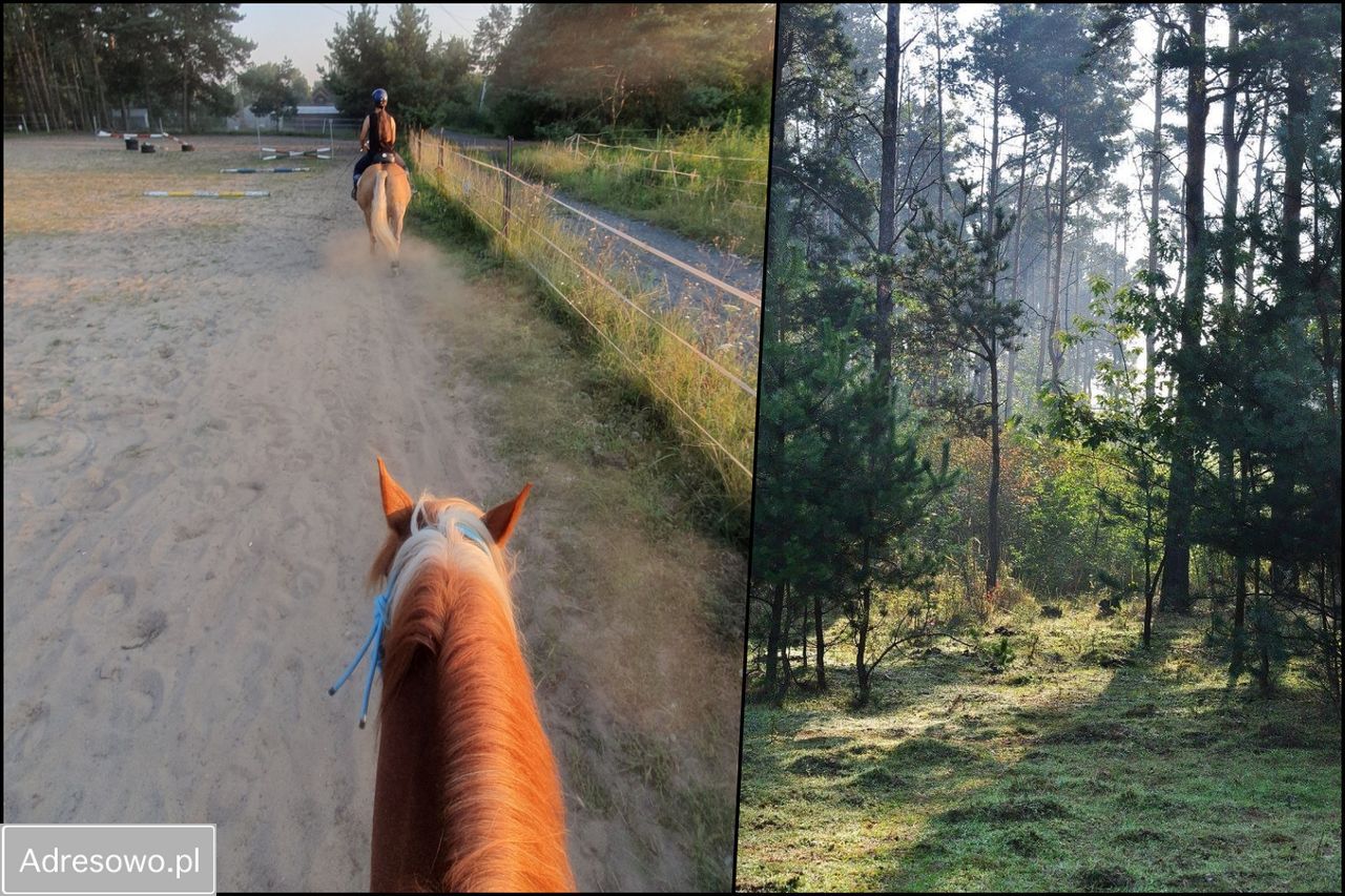 dom wolnostojący, 6 pokoi Zawiercie. Zdjęcie 4