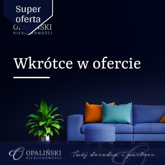 Mieszkanie do wynajęcia          
          
            ul. Ignacego Paderewskiego          
          
            Rzeszów