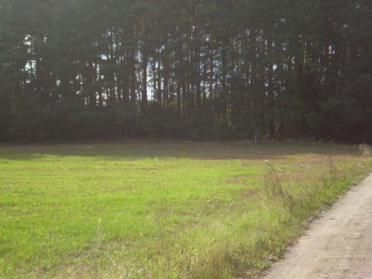 Działka budowlana Papiernia. Zdjęcie 7