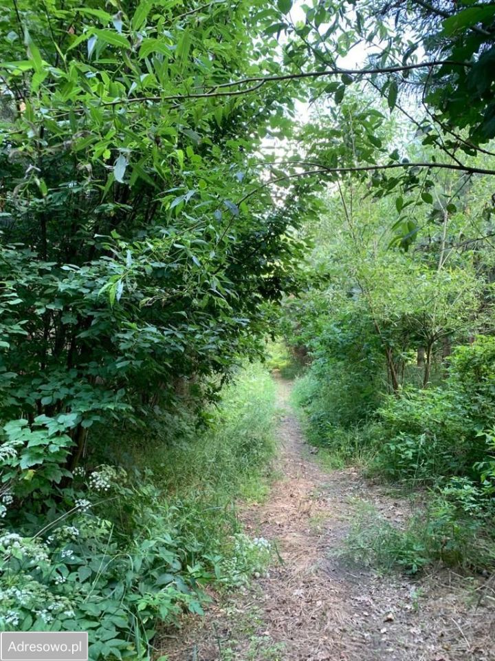 Działka rolno-budowlana Michałki. Zdjęcie 2