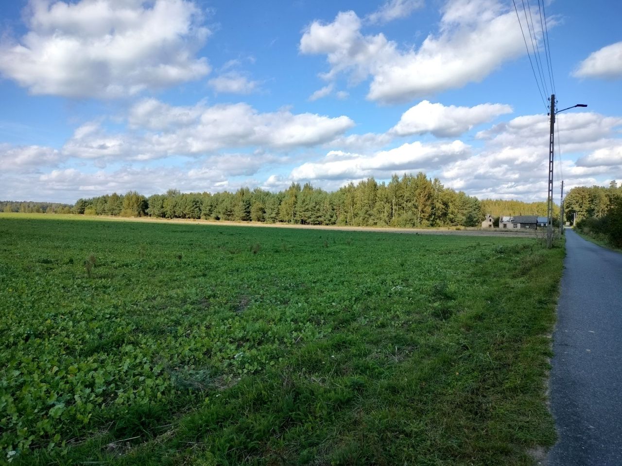 Działka budowlana Napoleon. Zdjęcie 4