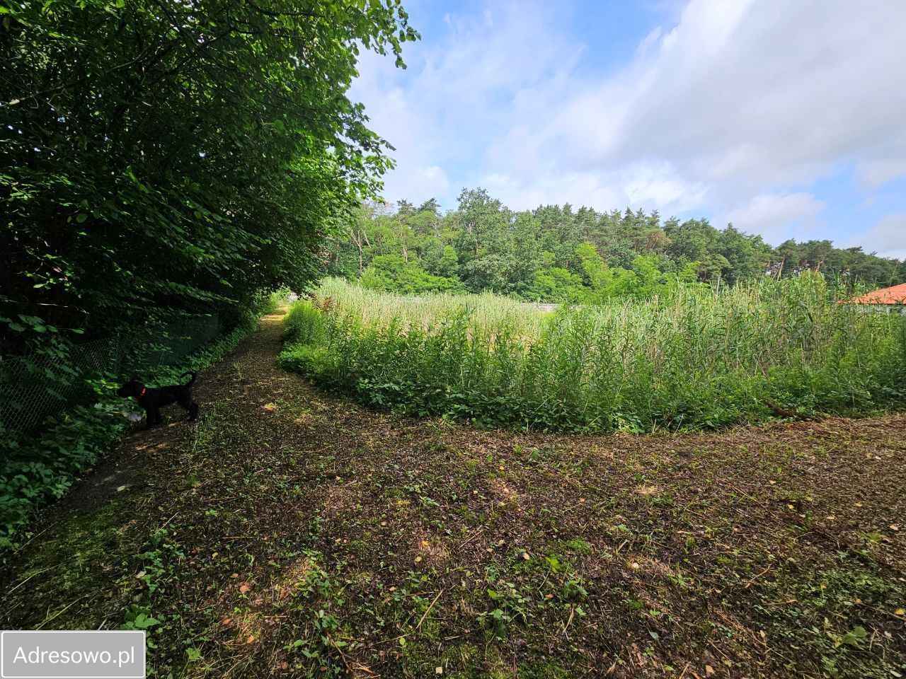 Działka budowlana Płock, ul. Włościany. Zdjęcie 11