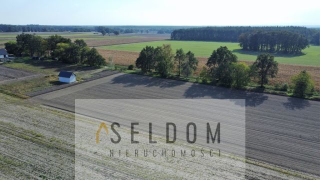 Działka budowlana Lipowa. Zdjęcie 2