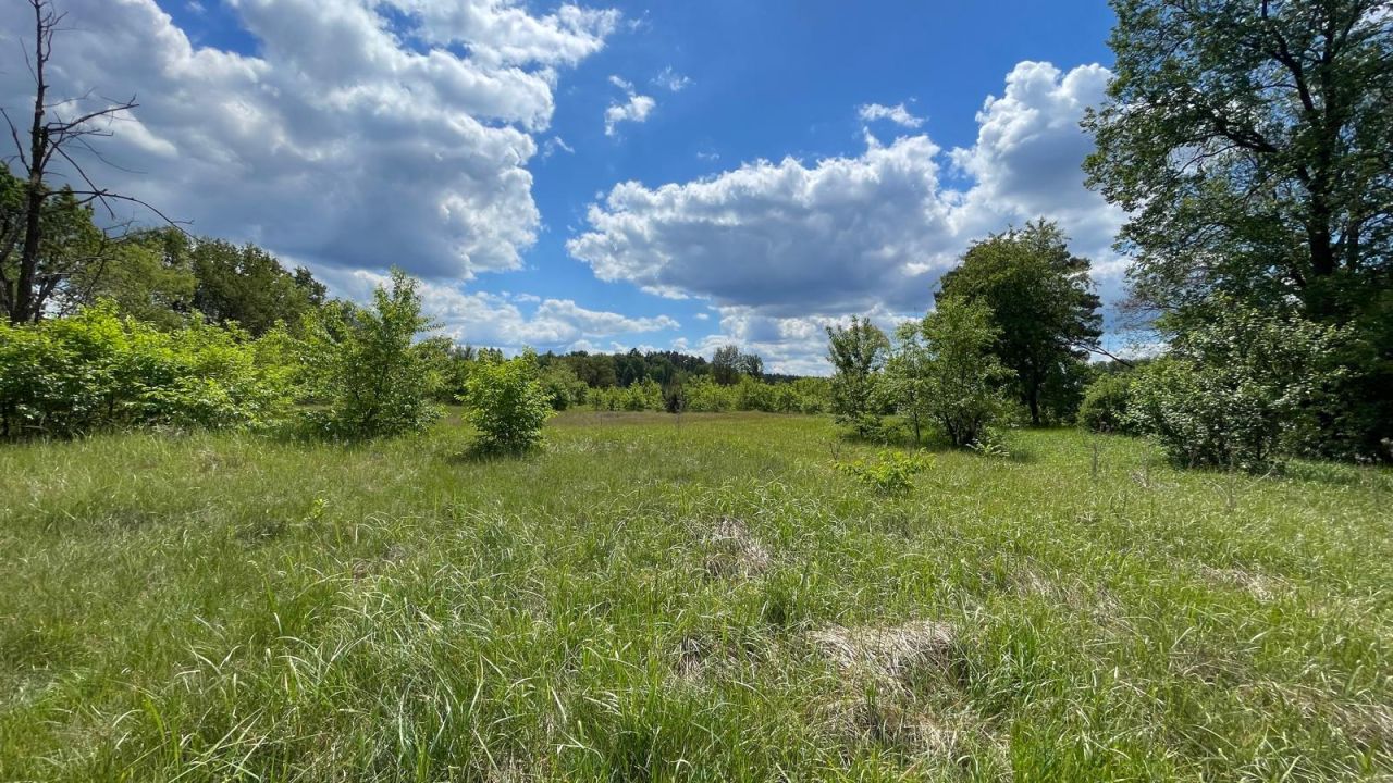 Działka budowlana Siedlisko. Zdjęcie 9