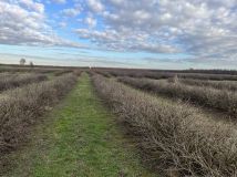 gospodarstwo, 2 pokoje Wierzchowiska Drugie. Zdjęcie 4