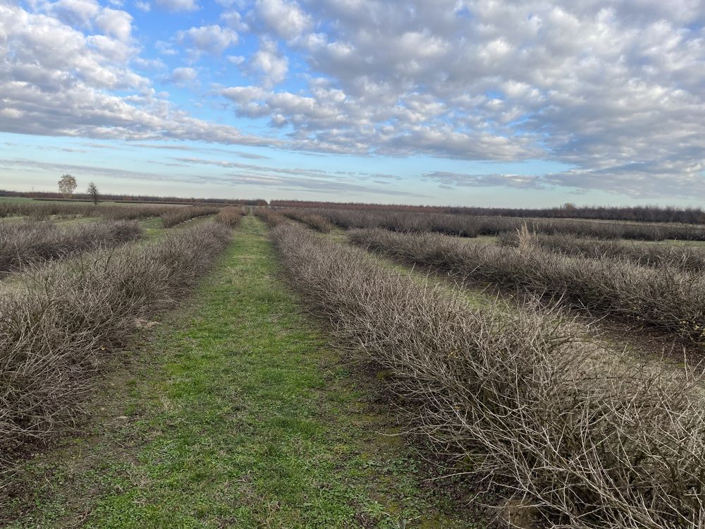 gospodarstwo, 2 pokoje Wierzchowiska Drugie. Zdjęcie 5